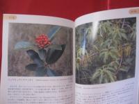 沖縄の危険生物 　　野外活動を安全にすごすためのガイドブック　　　　 【沖縄・琉球・自然・税物・動物】