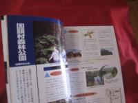 ワクワク  　キャンプ　   in    おきなわ 　  　◆キャンプ地徹底ガイド 　　　   【沖縄・琉球・自然・レジャー・アウトドア】