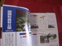 ワクワク  キャンプ   in    おきなわ   　◆キャンプ地徹底ガイド 　  最新版　      【沖縄・琉球・自然・レジャー・アウトドア】