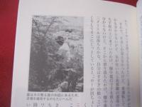 カミングヮ    　    家族を癒す沖縄の正しい家相  　      〈  新装版  〉  　        長嶺  伊佐雄  ・  長嶺  哲成   著      　  ボーダーインク   発行       　         【沖縄・琉球・歴史・文化・信仰】