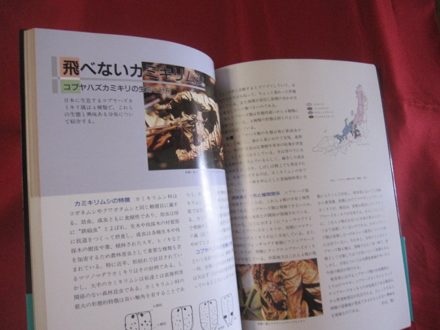 昆虫ガイドブック ふるさとの虫に学ぶ 岐阜県高等学校教育研究会生物部会編 自然 生物 岐阜県高等学校教育研究会生物部会編 古本 中古本 古書籍 の通販は 日本の古本屋 日本の古本屋