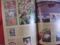 うるま  　　 ☆特集：なごみのカフェ。　　  　☆沖縄の元気を伝える亜熱帯マガジン。　　　◎２００２年７月号・No.５２　　　　　【沖縄・琉球・歴史・文化・自然】
