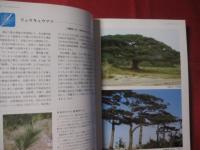 ☆★カラー百科シリーズ①   　 　 沖縄の自然   〔植物〕    　     【沖縄・琉球・自然・植物・文化】