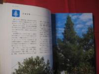 ☆★カラー百科シリーズ①   　 　 沖縄の自然   〔植物〕    　     【沖縄・琉球・自然・植物・文化】