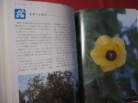 ☆★カラー百科シリーズ①   　 　 沖縄の自然   〔植物〕    　     【沖縄・琉球・自然・植物・文化】