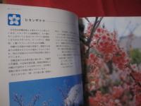 ☆★カラー百科シリーズ①   　 　 沖縄の自然   〔植物〕    　     【沖縄・琉球・自然・植物・文化】