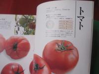 ｎｏｎ‐ｎｏ 　 　野菜基本大百科 　　　  【食料品・レシピ・知識・食文化】