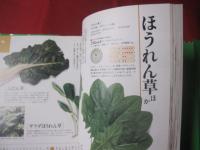 ｎｏｎ‐ｎｏ 　 　野菜基本大百科 　　　  【食料品・レシピ・知識・食文化】
