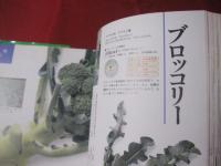 ｎｏｎ‐ｎｏ 　 　野菜基本大百科 　　　  【食料品・レシピ・知識・食文化】
