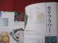 ｎｏｎ‐ｎｏ 　 　野菜基本大百科 　　　  【食料品・レシピ・知識・食文化】