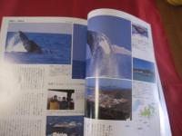 うるま  　　 ☆特集：忘れられないあの宿。　　   ☆沖縄の元気を伝える亜熱帯マガジン。　　　   ◎２００３年４月号・No.６１　　　　　【沖縄・琉球・歴史・文化・自然】