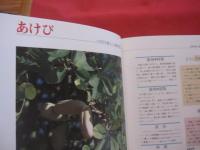 これでわかる  　　薬用植物　　   　 　新星図書出版　 発行 　　　　　   定価 １９，８００円    　　　　　    【沖縄・琉球・自然・植物・健康・薬草】