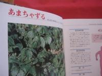 これでわかる  　　薬用植物　　   　 　新星図書出版　 発行 　　　　　   定価 １９，８００円    　　　　　    【沖縄・琉球・自然・植物・健康・薬草】