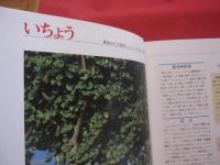 これでわかる  　　薬用植物　　   　 　新星図書出版　 発行 　　　　　   定価 １９，８００円    　　　　　    【沖縄・琉球・自然・植物・健康・薬草】