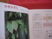 これでわかる  　　薬用植物　　   　 　新星図書出版　 発行 　　　　　   定価 １９，８００円    　　　　　    【沖縄・琉球・自然・植物・健康・薬草】