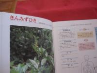これでわかる  　　薬用植物　　   　 　新星図書出版　 発行 　　　　　   定価 １９，８００円    　　　　　    【沖縄・琉球・自然・植物・健康・薬草】