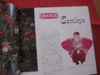 やさしい沖縄の洋ランづくり        白井 祥平  著              【沖縄・琉球・自然・花・ガーデニング・観葉植物・カトレア】