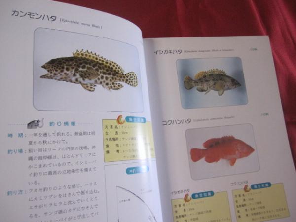 沖縄釣魚図鑑 つりと魚の百科 沖縄 琉球 趣味 知識 アウトドア 海洋レジャー 著者 新垣 柴太郎 吉野 哲夫 文華堂書店 古本 中古本 古書籍の通販は 日本の古本屋 日本の古本屋 沖縄釣魚図鑑 つりと魚の百科 沖縄 琉球 趣味 知識 アウトドア 海洋レジャー 著者 新垣 柴太郎 吉野 哲夫 文華堂書店 古本 中古本 古書籍の通販は 日本の古本屋 日本の古本屋