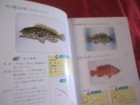 沖縄釣魚図鑑   　　　　つりと魚の百科  　　　　　   【沖縄・琉球・趣味・知識・アウトドア・海洋レジャー】
