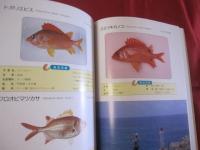 沖縄釣魚図鑑   　　　　つりと魚の百科  　　　　　   【沖縄・琉球・趣味・知識・アウトドア・海洋レジャー】