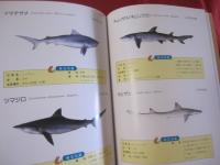 沖縄釣魚図鑑   　　　　つりと魚の百科  　　　　　   【沖縄・琉球・趣味・知識・アウトドア・海洋レジャー】