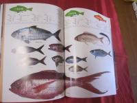沖縄の釣りと海洋レジャー　　　　    【沖縄・琉球・趣味・文化・フィッシング・アウトドア】