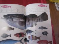 沖縄の釣りと海洋レジャー　　　　    【沖縄・琉球・趣味・文化・フィッシング・アウトドア】