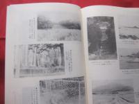 いぜな島の民話             【沖縄・琉球・歴史・伝説・伝承・昔話・文化】