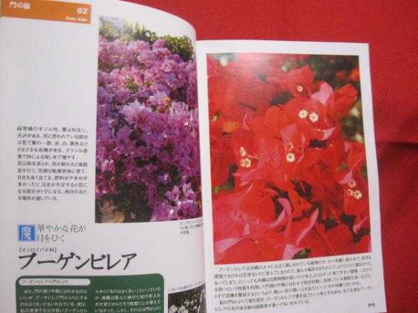 沖縄の庭を見直そう 琉球ガーデンbook 沖縄 琉球 自然 植物 ガーデニング 著者 比嘉 淳子 飯塚 みどり 文華堂書店 古本 中古本 古書籍の通販は 日本の古本屋 日本の古本屋 沖縄の庭を見直そう 琉球ガーデンbook 沖縄 琉球 自然 植物 ガーデニング 著者 比嘉 淳子 飯塚 みどり 文華堂書店 古本 中古本 古書籍の通販は 日本の古本屋 日本の古本屋