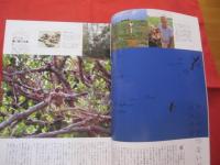 うるま   　☆特集：いか墨　　  ☆沖縄の元気を伝える亜熱帯マガジン。 　２００６年１月号・No.９４　　　　　　【沖縄・琉球・歴史・文化・自然・離島】