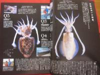 うるま   　☆特集：いか墨　　  ☆沖縄の元気を伝える亜熱帯マガジン。 　２００６年１月号・No.９４　　　　　　【沖縄・琉球・歴史・文化・自然・離島】