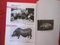 豚国・おきなわ　      あなたの知らない豚の世界 　　　　　       【沖縄・琉球・歴史・食文化】