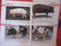 豚国・おきなわ　      あなたの知らない豚の世界 　　　　　       【沖縄・琉球・歴史・食文化】
