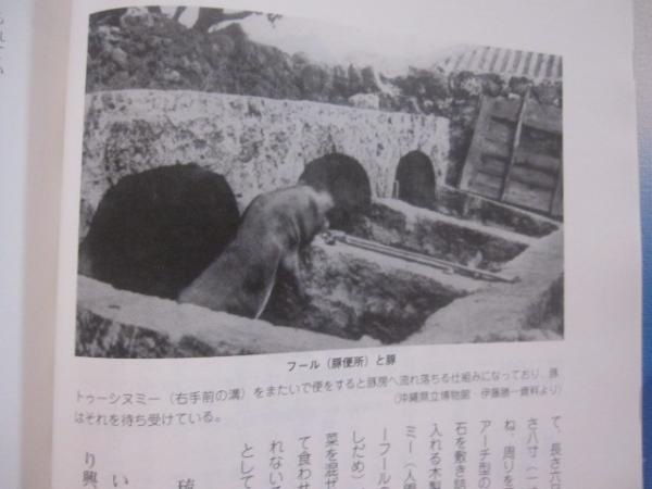 豚国 おきなわ あなたの知らない豚の世界 沖縄 琉球 歴史 食文化 著者 平川 宗隆 料理監修 西大 八重子 文華堂書店 古本 中古本 古書籍の通販は 日本の古本屋 日本の古本屋