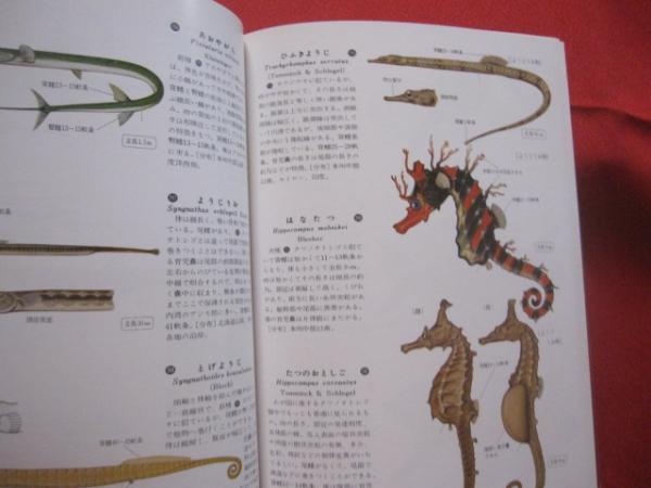原色魚類検索図鑑 1 改訂13版 (株) 北隆館発行 【自然・生物