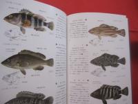 原色魚類検索図鑑 　１   　改訂１３版　  (株)　北隆館発行　　　　　    【自然・生物・知識】