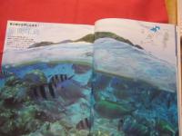 うるま   　☆特集：青い海へつれてって ケラマ諸島（渡嘉敷島・座間味島） 　　  ☆沖縄の元気を伝える亜熱帯マガジン。  　　    ◎２００８年７月号・No.１２４　　　　　　【沖縄・琉球・歴史・文化・自然・離島】