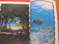うるま  ☆特集：ケラマブルー 座間味   ☆沖縄の元気を伝える亜熱帯マガジン。     ◎２００５年１０月号・No.９１　　【沖縄・琉球・歴史・文化・自然・離島】