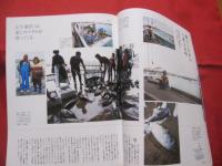 うるま  　 ☆特集：さあ、八重山へ帰ろう 　　黒島・鳩間島・石垣島・船浮    　　　☆沖縄の元気を伝える亜熱帯マガジン。　　　     ◎２００８年６月号・No.１２３　　　　　　【沖縄・琉球・歴史・文化・自然・離島】