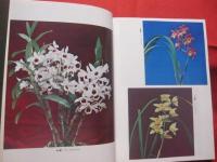 ☆亜熱帯気候と土質に適した 　  沖縄の花卉・園芸 　　　    【沖縄・琉球・農業・植物】