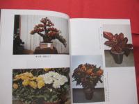 ☆亜熱帯気候と土質に適した 　  沖縄の花卉・園芸 　　　    【沖縄・琉球・農業・植物】
