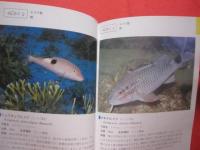 沖縄海中生物図鑑    　　第２巻    　　魚  　　  監修　 財団法人 　海中公園センター 　　   新星図書出版　 発行  　　　　      【沖縄・琉球・自然・海洋生物】