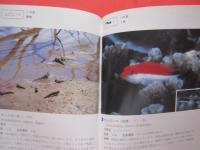 沖縄海中生物図鑑    　　第２巻    　　魚  　　  監修　 財団法人 　海中公園センター 　　   新星図書出版　 発行  　　　　      【沖縄・琉球・自然・海洋生物】