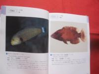 ☆沖縄海中生物図鑑   　　 第２巻    　　魚   　　 監修　  財団法人 海中公園センター    　　新星図書出版　  発行       　　　　     【沖縄・琉球・自然・海洋生物】