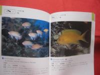 ☆沖縄海中生物図鑑   　　 第２巻    　　魚   　　 監修　  財団法人 海中公園センター    　　新星図書出版　  発行       　　　　     【沖縄・琉球・自然・海洋生物】
