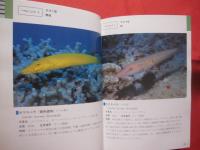 ☆沖縄海中生物図鑑   　　 第２巻    　　魚   　　 監修　  財団法人 海中公園センター    　　新星図書出版　  発行       　　　　     【沖縄・琉球・自然・海洋生物】