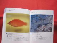 ★沖縄海中生物図鑑      　 第２巻   　　   ◆魚  　        【沖縄・琉球・自然・海洋生物】