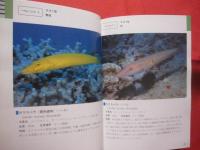 ★沖縄海中生物図鑑      　 第２巻   　　   ◆魚  　        【沖縄・琉球・自然・海洋生物】