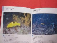 ★沖縄海中生物図鑑      　 第２巻   　　   ◆魚  　        【沖縄・琉球・自然・海洋生物】