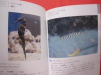 ★沖縄海中生物図鑑      　 第２巻   　　   ◆魚  　        【沖縄・琉球・自然・海洋生物】